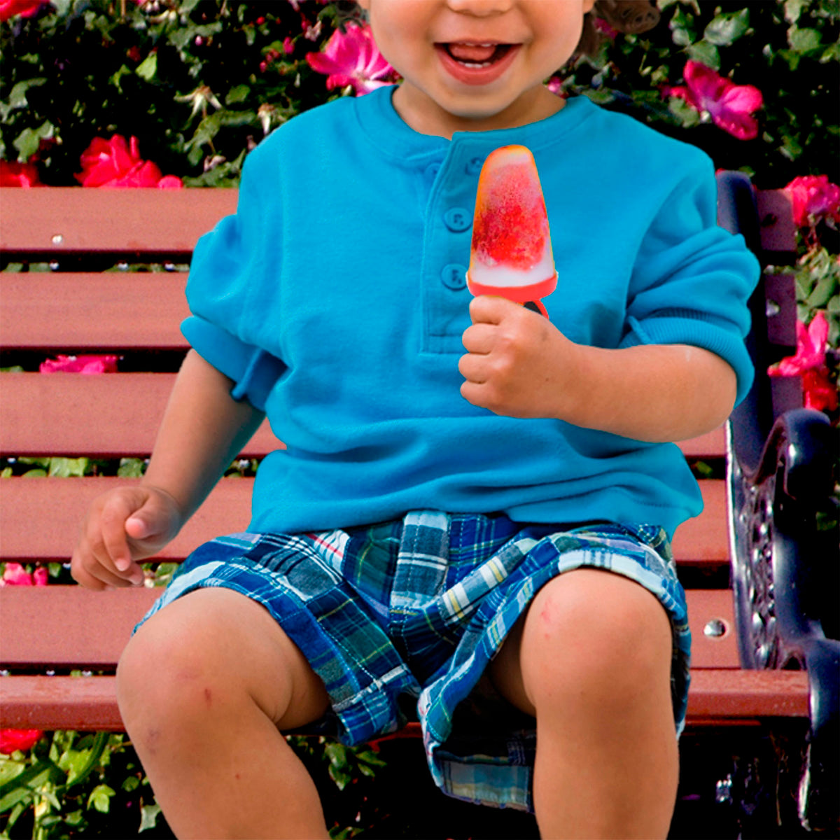 Molde para paletas 4 Ranuras