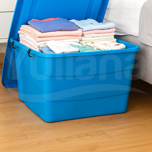 Caja organizadora Colors (20 L)