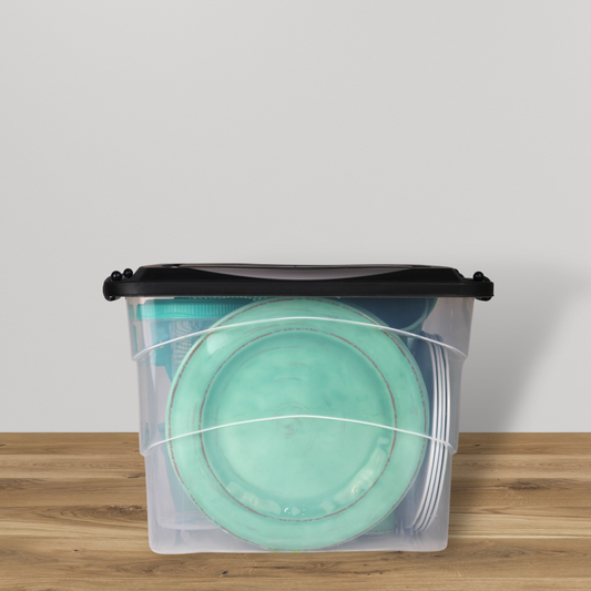 Caja organizadora Trasparente (20 L)