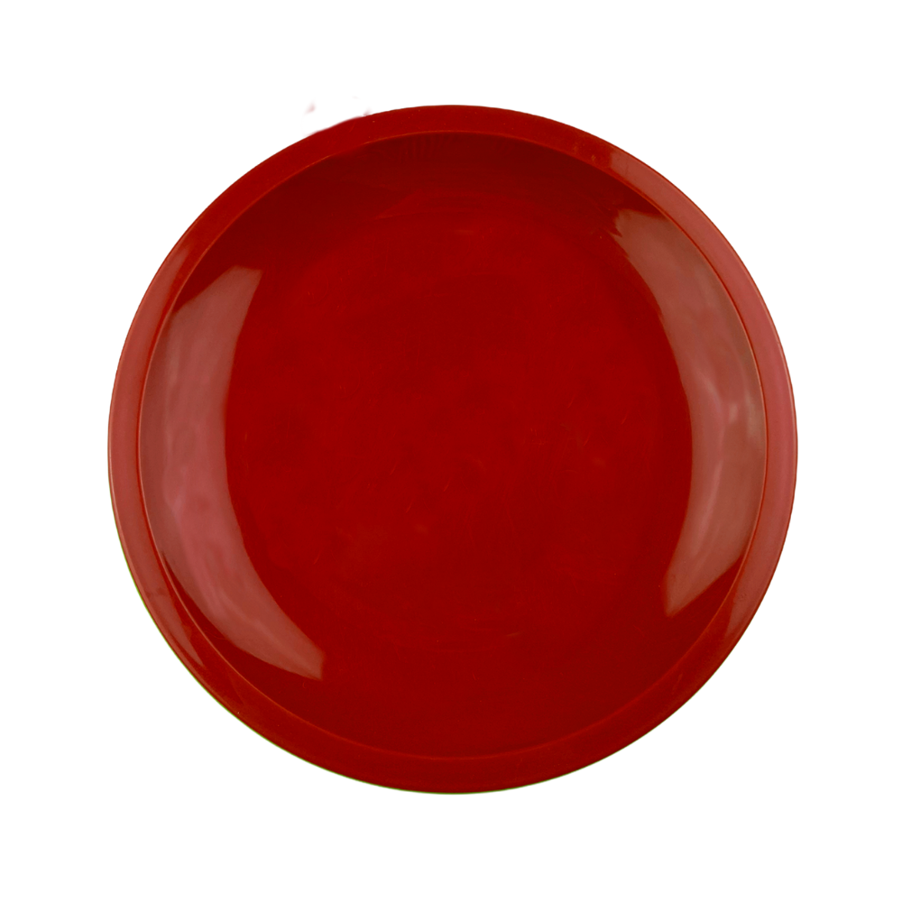 Plato Trinche Extendido 9.5"