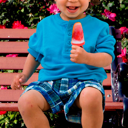 Molde para paletas 4 Ranuras