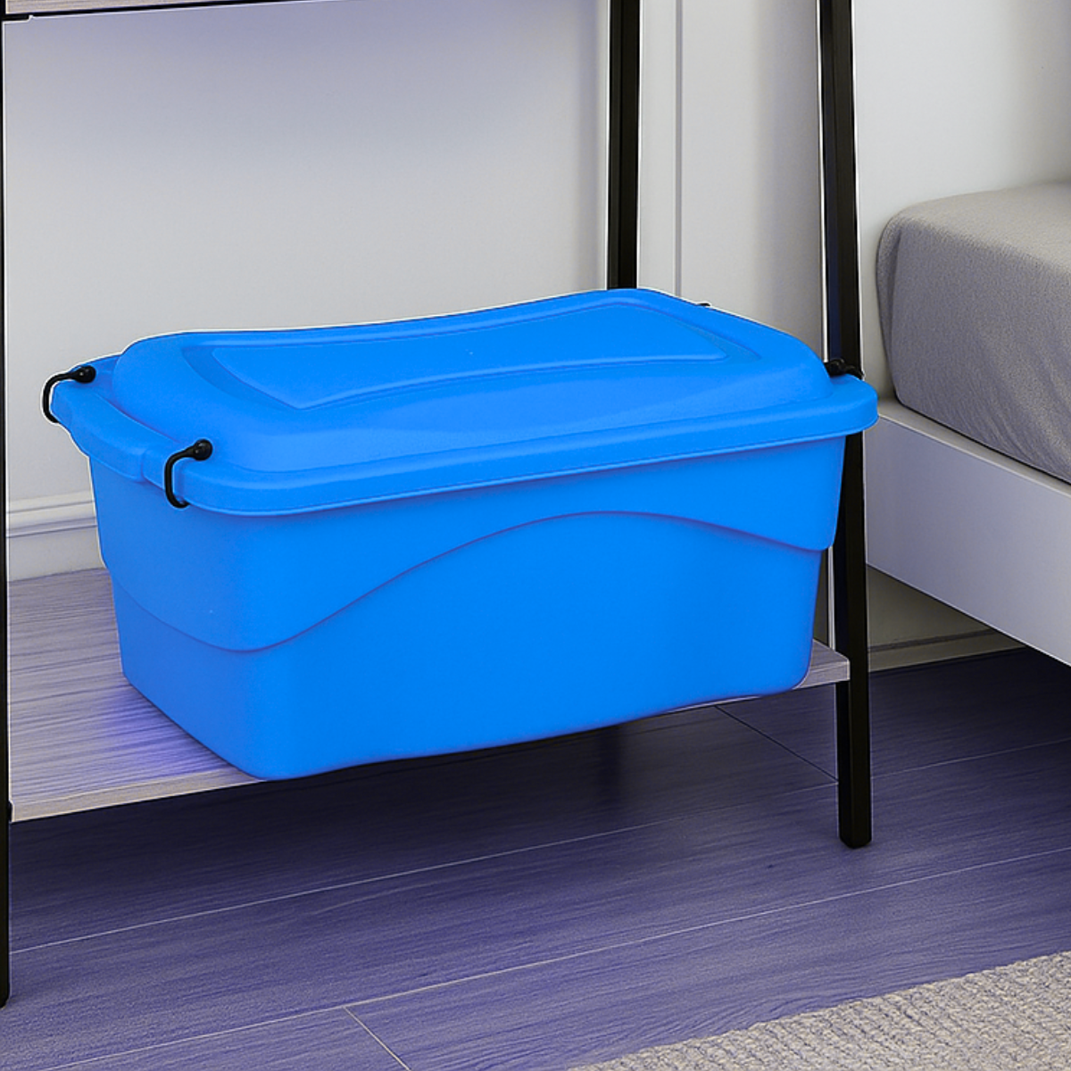 Caja organizadora (10 L) Colors