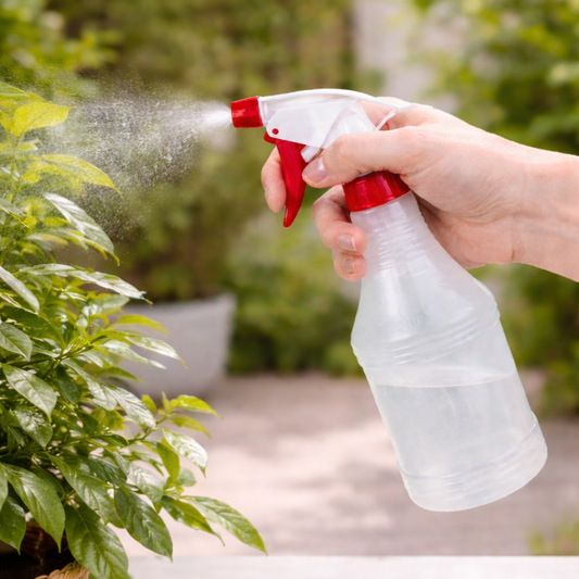 Atomizador anillo 600 ML