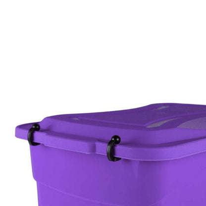 Caja organizadora Colors (20 L)