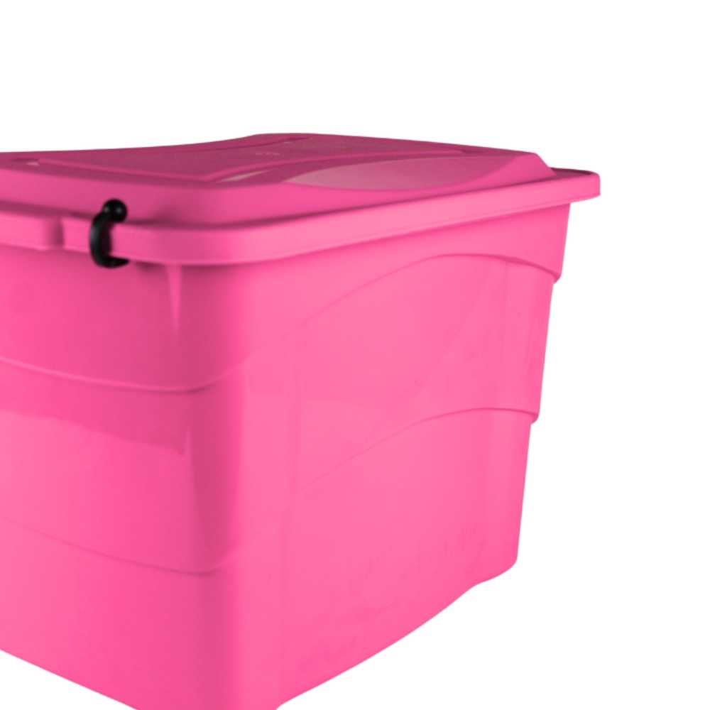 Caja organizadora Colors (20 L)