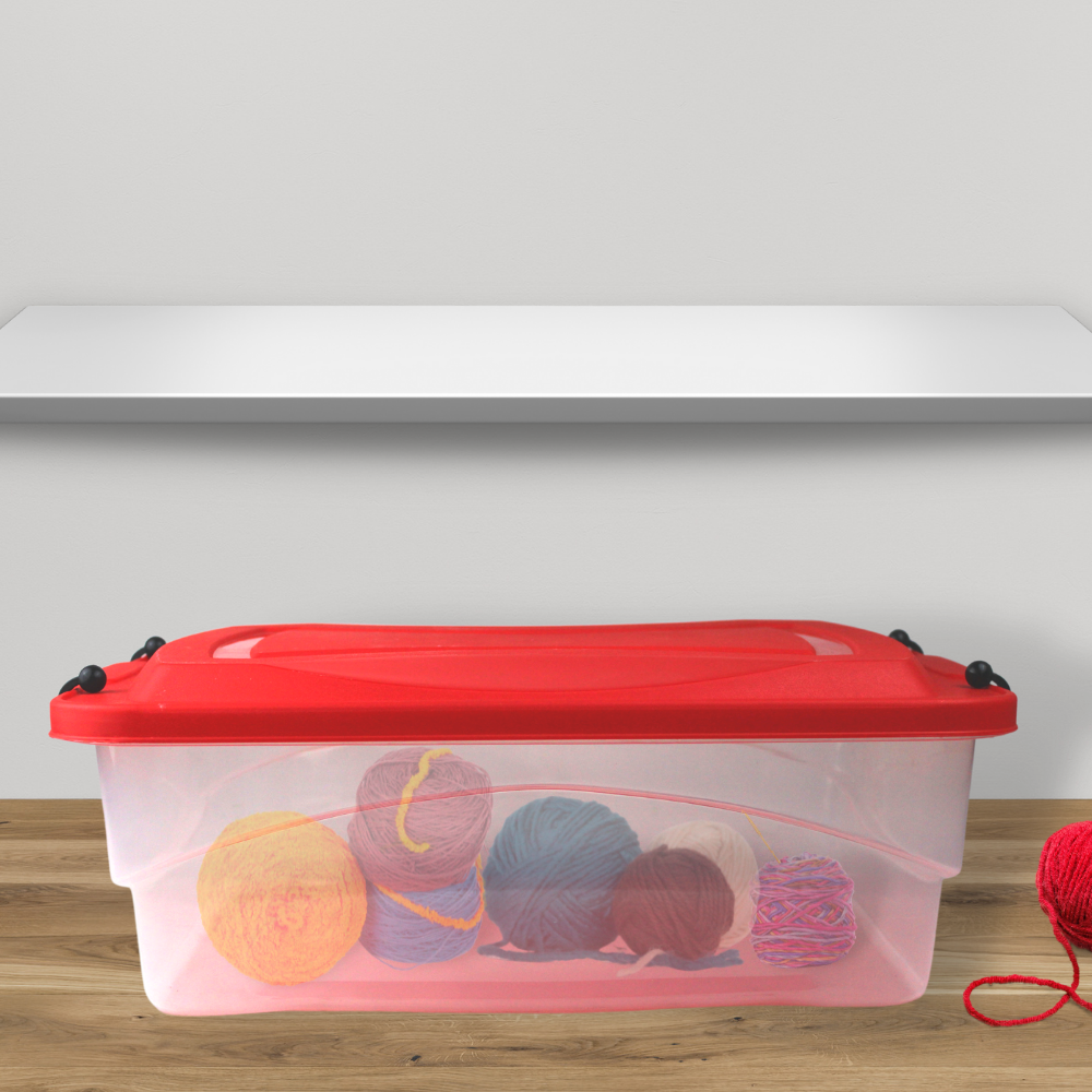 Organizador Clip (10 L)