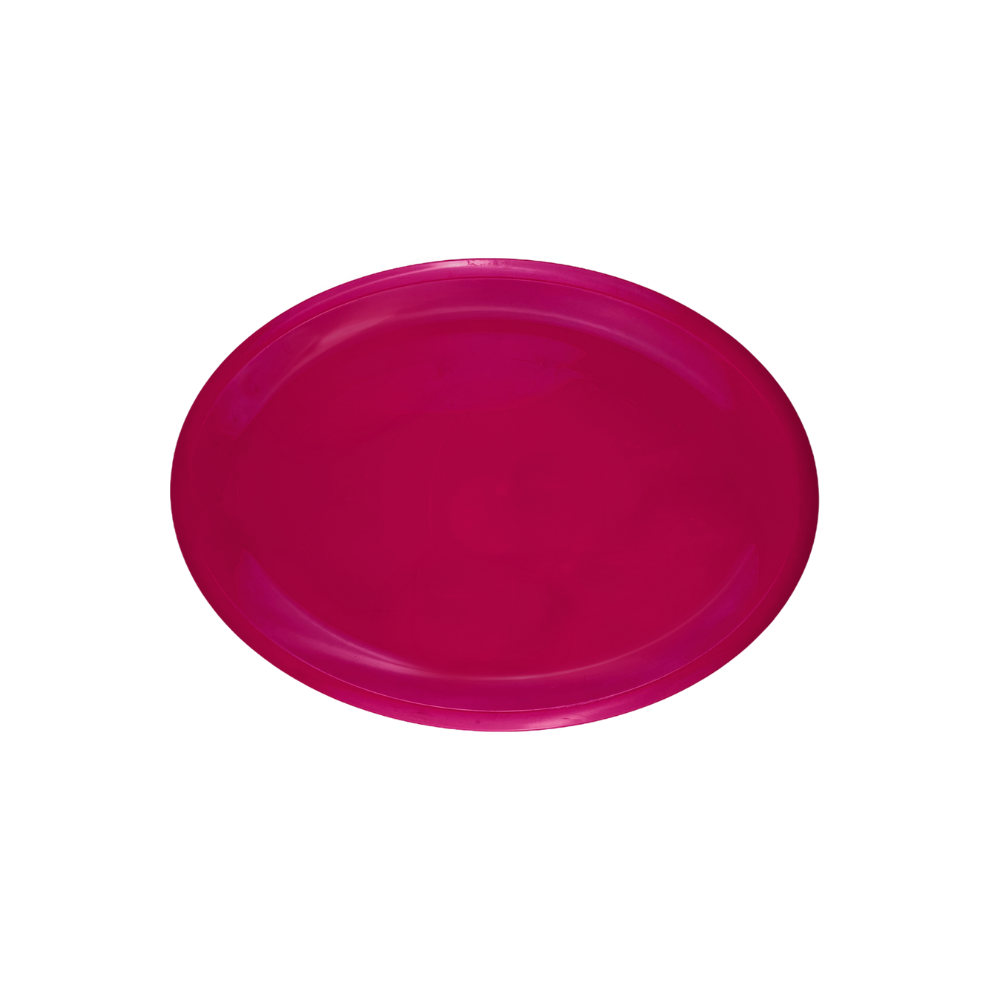 Plato Tampiqueño 11" (Colors)