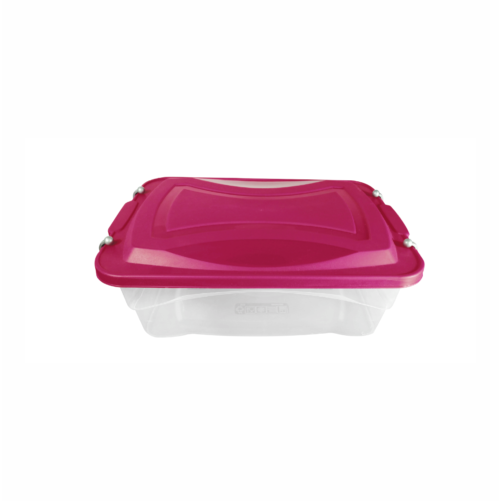 Organizador Clip (10 L)