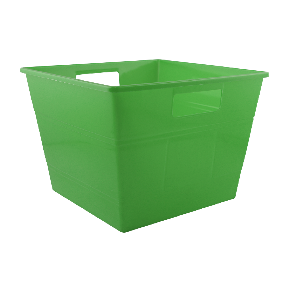 Organizador Americano Mediano