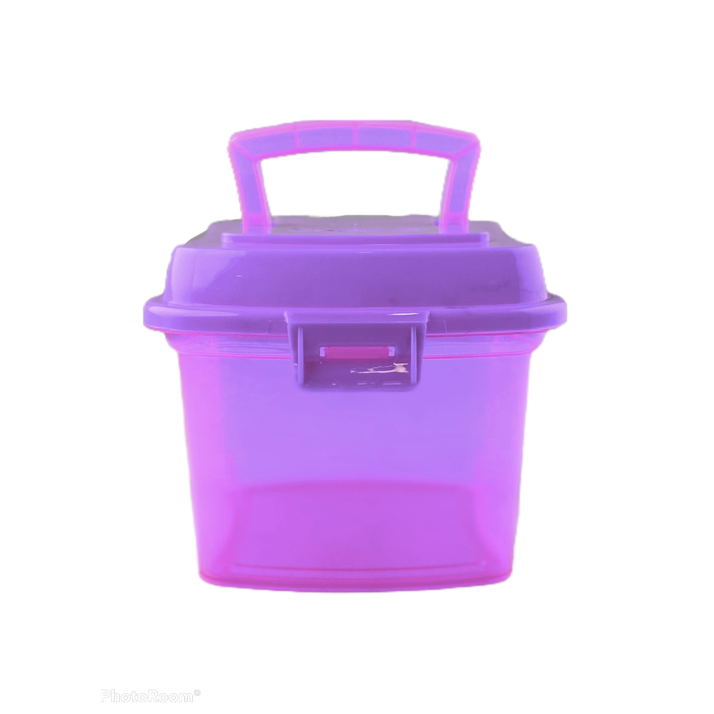 Mini Lonchis